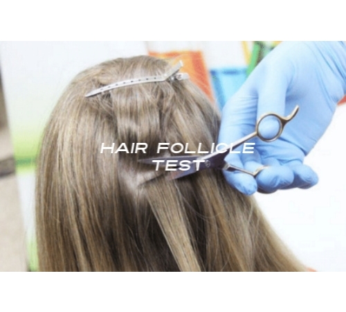 5 Panel 180 Day Hair Drug Test