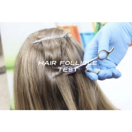 5 Panel 180 Day Hair Drug Test