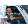 DOT Physicals & Medical Cards - Photo 1