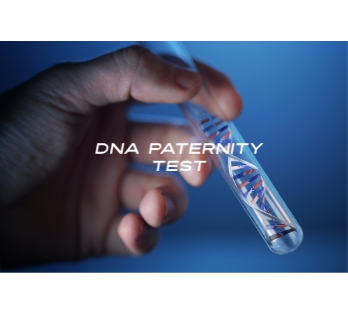 DNA Paternity Lab Test (Legally Defensible) | Employee Screening Management