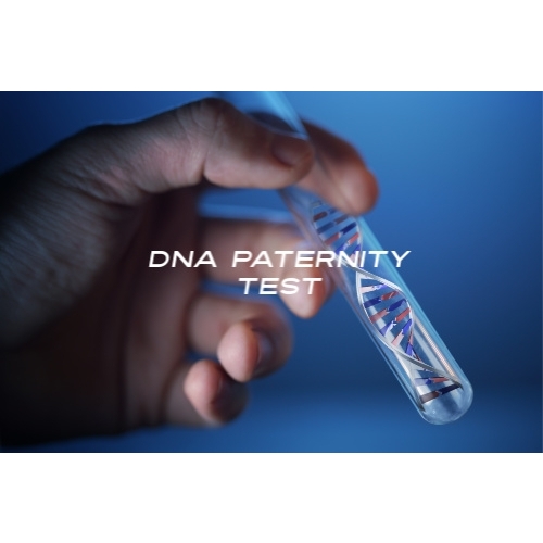 DNA Paternity Lab Test (Legally Defensible) - Photo 1
